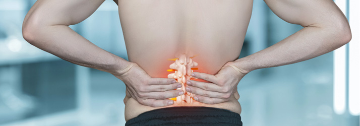 Slipped disc - The Back Dr Chiropractic Shellharbour